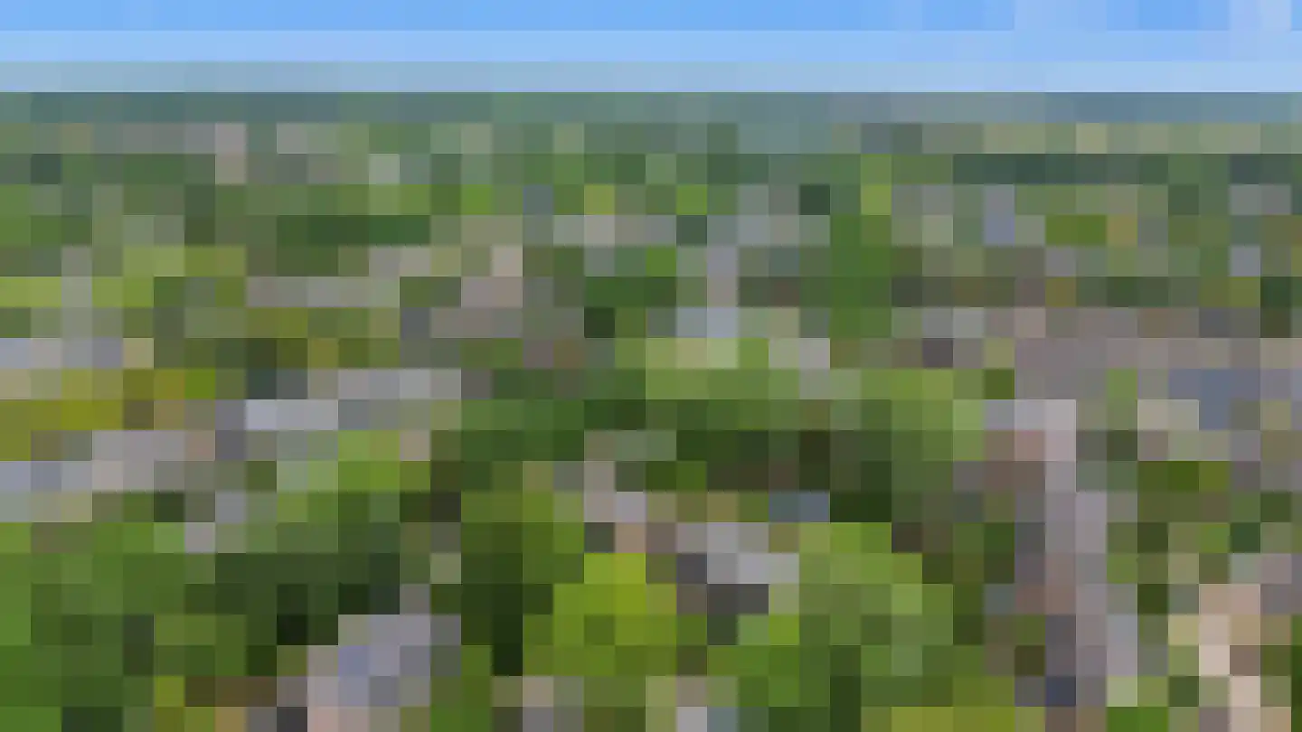 Geelgorsstraat 5 Ermelo thumbnail 66