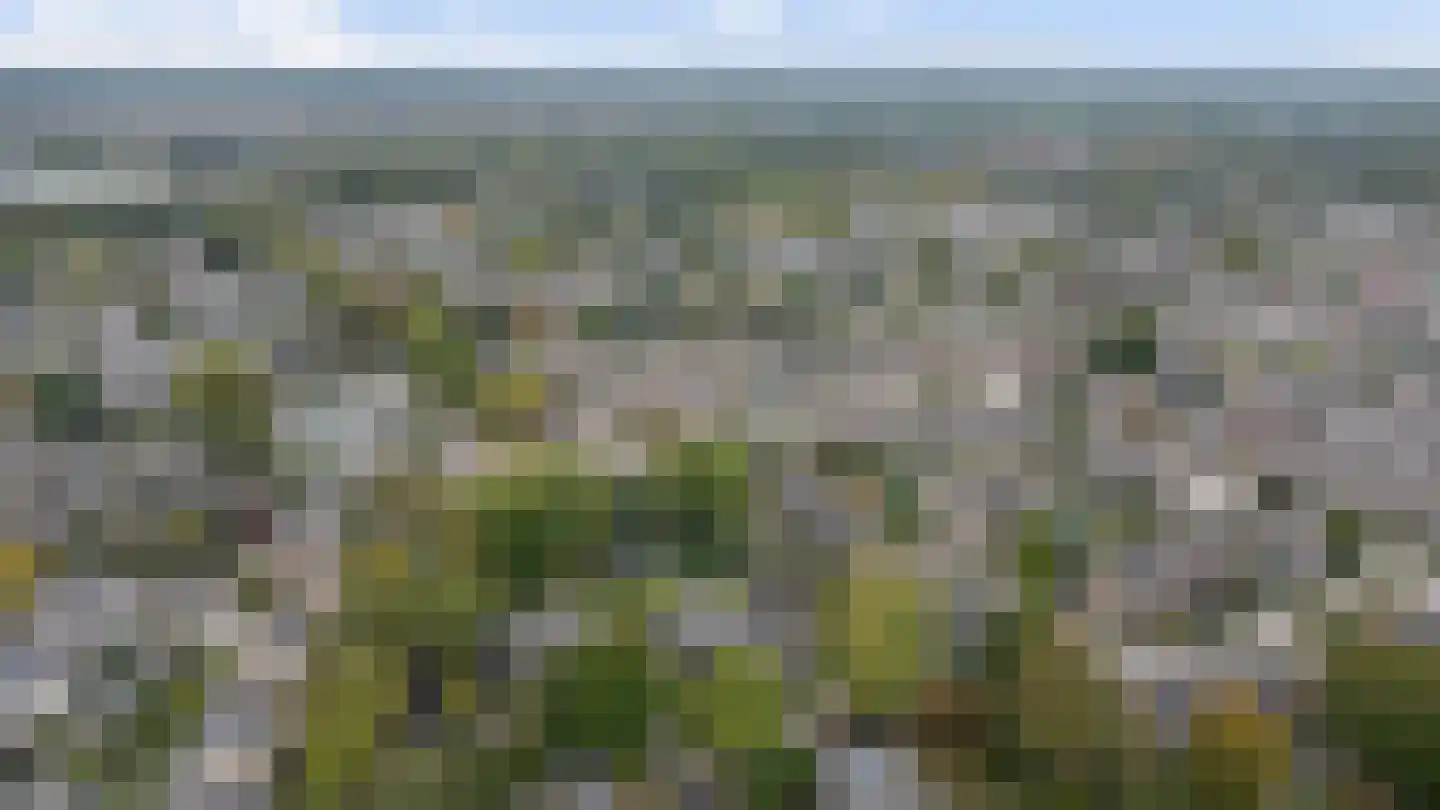 Geelgorsstraat 5 Ermelo thumbnail 66