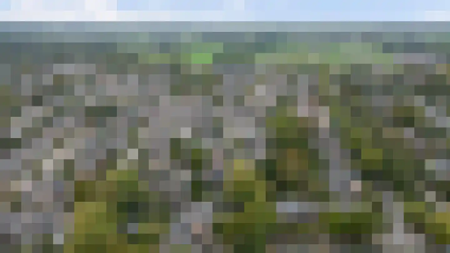 Geelgorsstraat 5 Ermelo thumbnail 67
