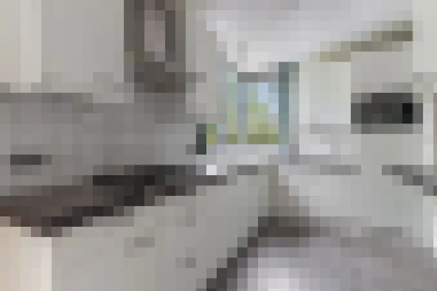 Geelgorsstraat 5 Ermelo thumbnail 8