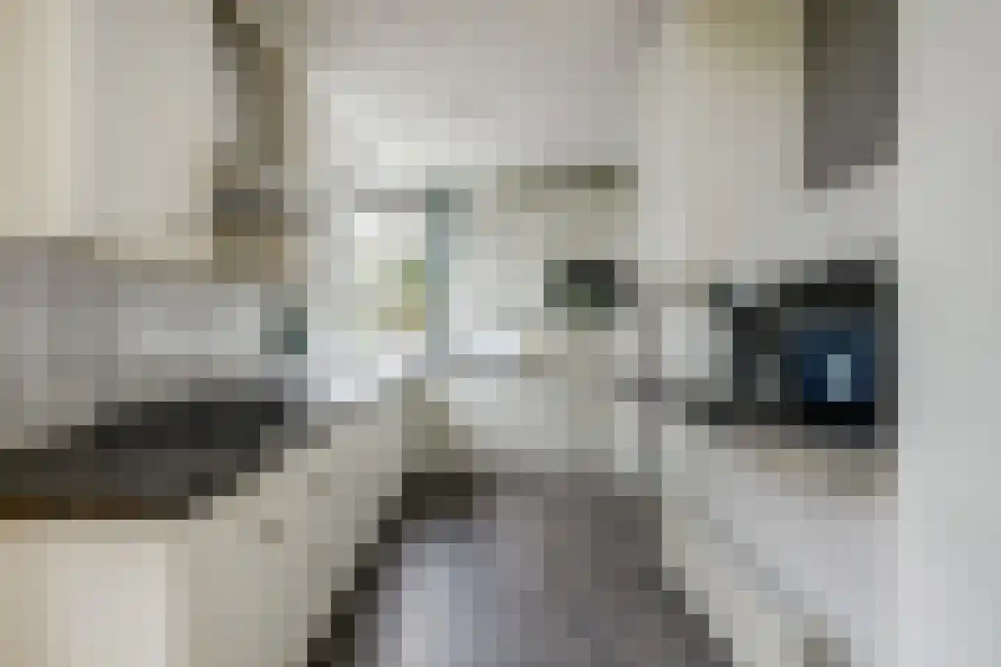 Geelgorsstraat 5 Ermelo thumbnail 8