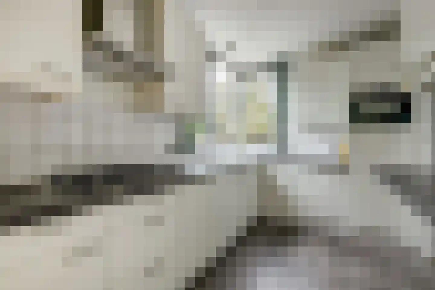 Geelgorsstraat 5 Ermelo thumbnail 9