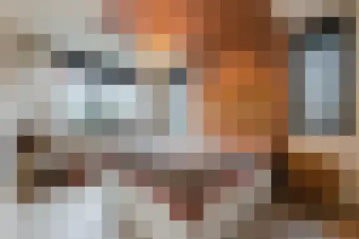 Geelhartje 2 Katwijk thumbnail 23