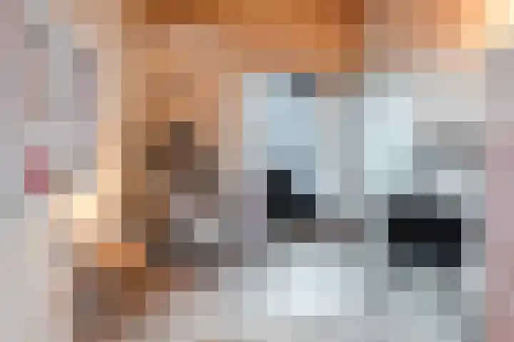 Geelhartje 2 Katwijk thumbnail 39