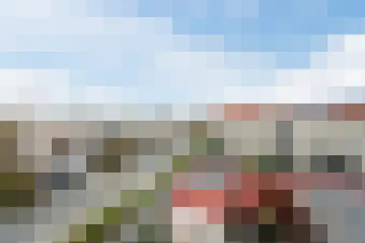 Geelhartje 2 Katwijk thumbnail 44