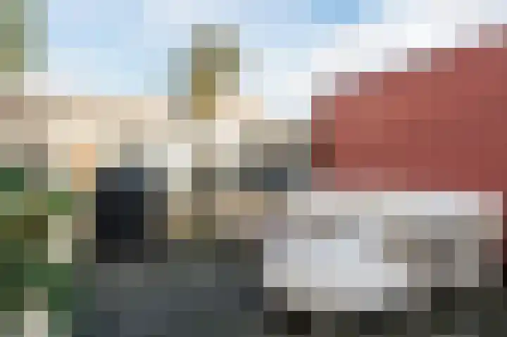 Geelhartje 2 Katwijk thumbnail 46