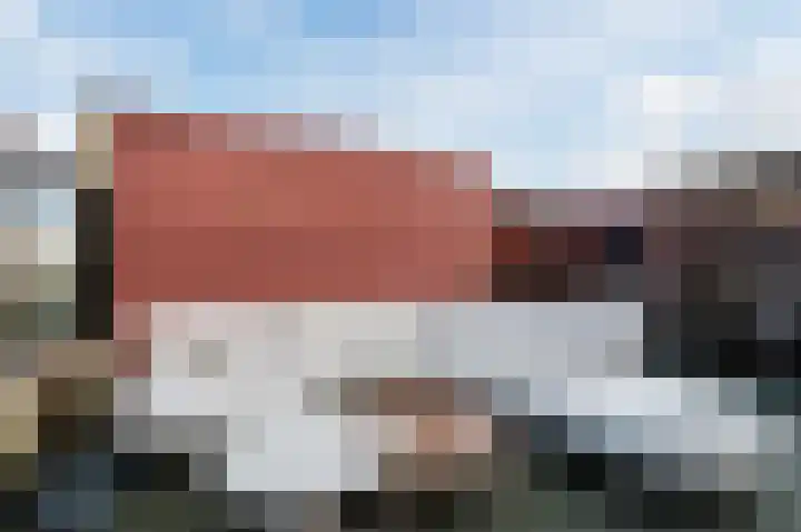 Geelhartje 2 Katwijk thumbnail 47