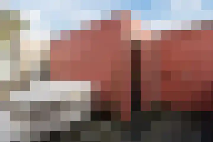 Geelhartje 2 Katwijk thumbnail 48