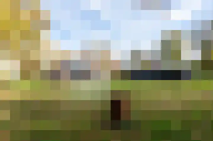 Geelinkweg 3 Winterswijk Corle thumbnail 7