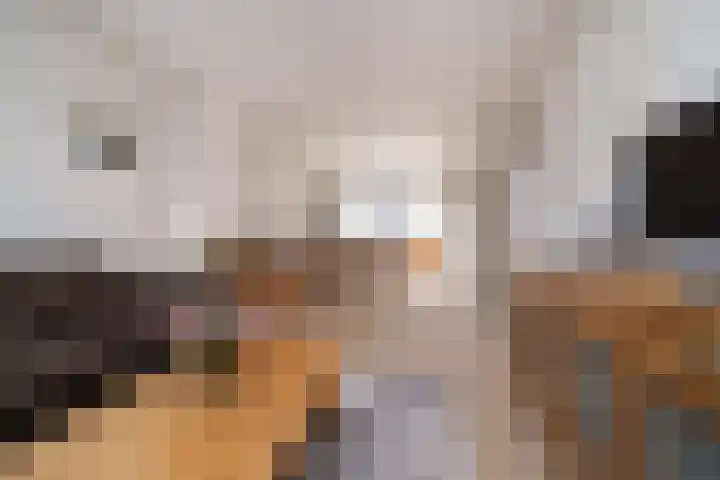 Geelkruid 33 Rotterdam thumbnail 10