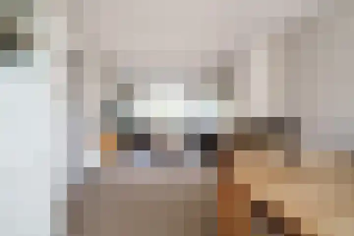 Geelkruid 33 Rotterdam thumbnail 11