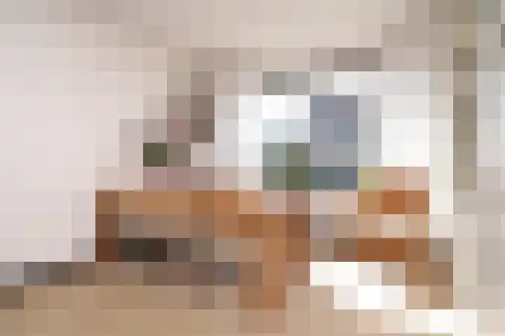Geelkruid 33 Rotterdam thumbnail 12
