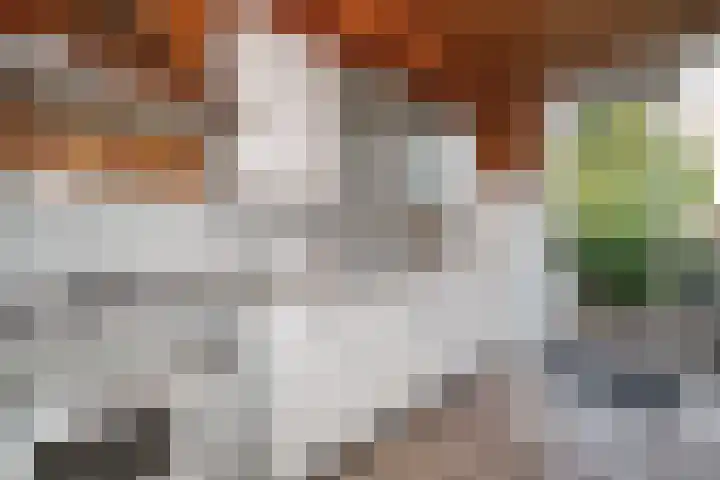 Geelkruid 33 Rotterdam thumbnail 13