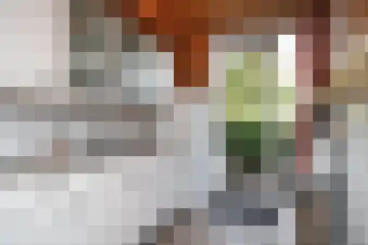 Geelkruid 33 Rotterdam thumbnail 14