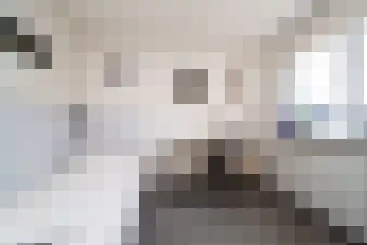Geelkruid 33 Rotterdam thumbnail 16