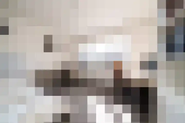 Geelkruid 33 Rotterdam thumbnail 17