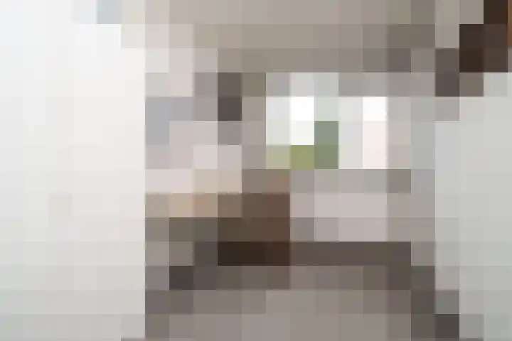 Geelkruid 33 Rotterdam thumbnail 19