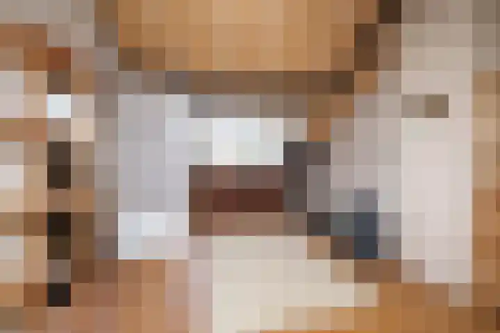 Geelkruid 33 Rotterdam thumbnail 20