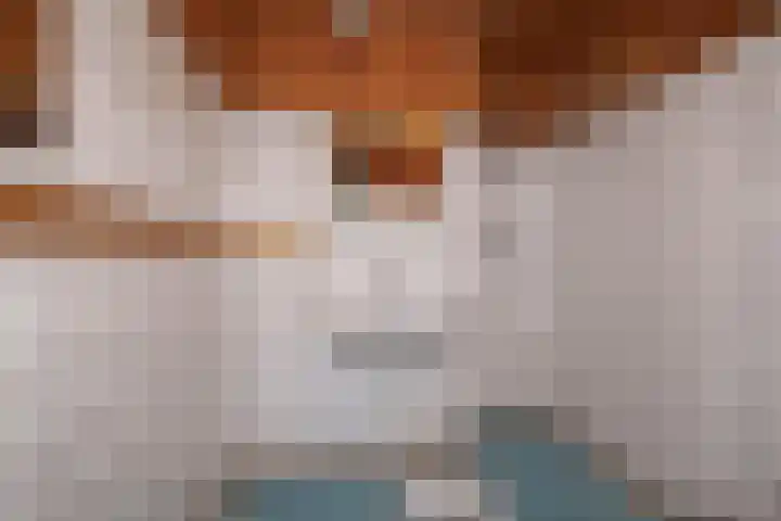 Geelkruid 33 Rotterdam thumbnail 21