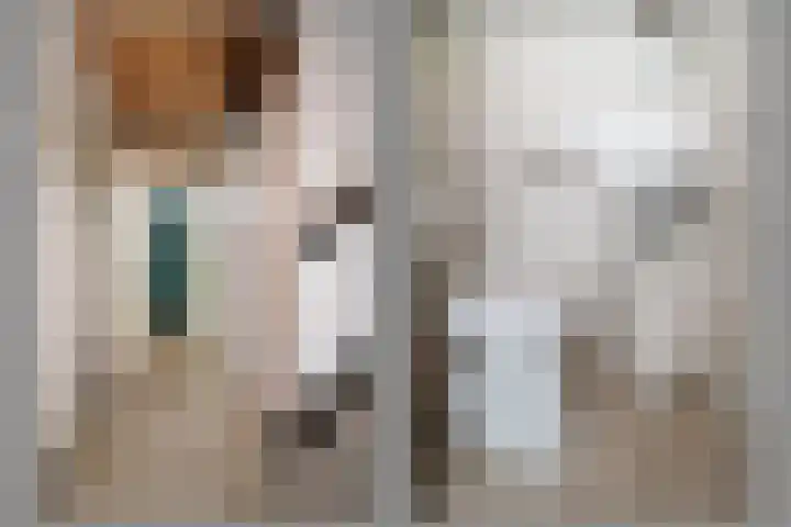 Geelkruid 33 Rotterdam thumbnail 22