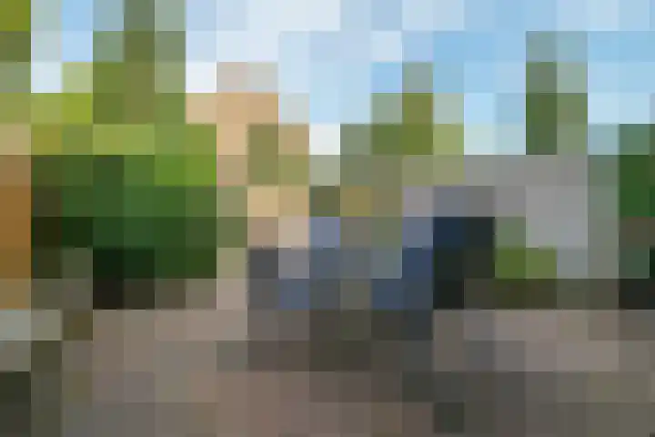 Geelkruid 33 Rotterdam thumbnail 23