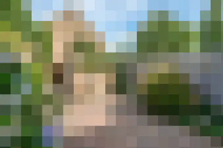 Geelkruid 33 Rotterdam thumbnail 24