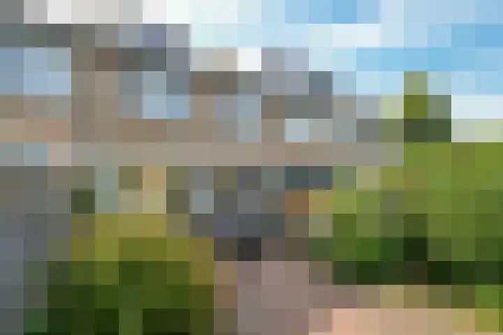 Geelkruid 33 Rotterdam thumbnail 25