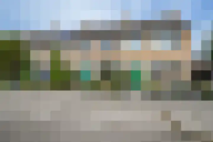 Geelkruid 33 Rotterdam thumbnail 26
