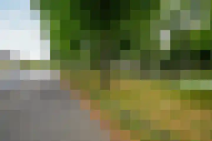 Geelkruid 33 Rotterdam thumbnail 28