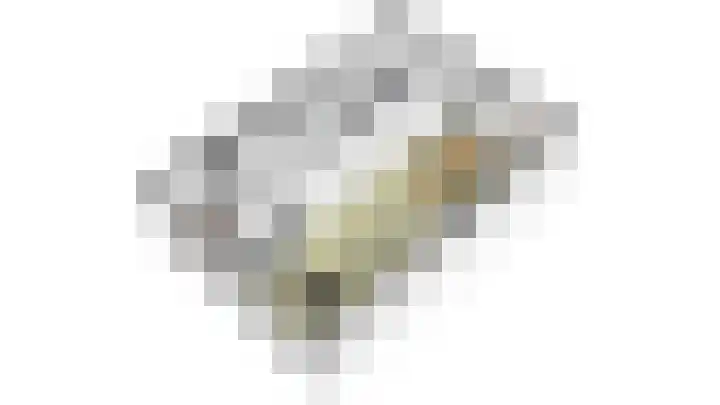 Geelkruid 33 Rotterdam thumbnail 31