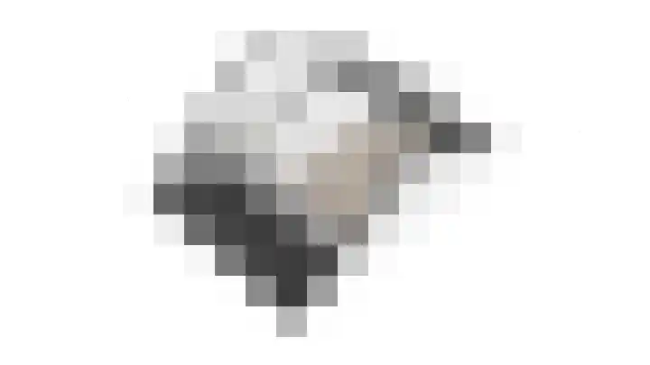 Geelkruid 33 Rotterdam thumbnail 35