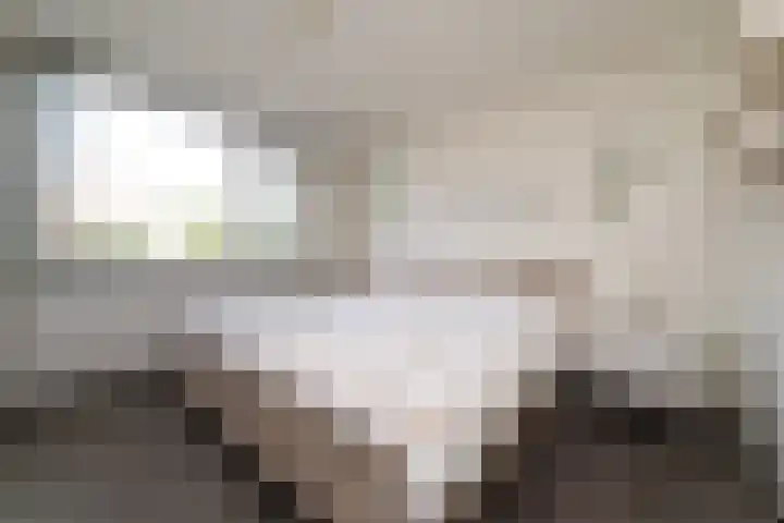 Geelkruid 33 Rotterdam thumbnail 4