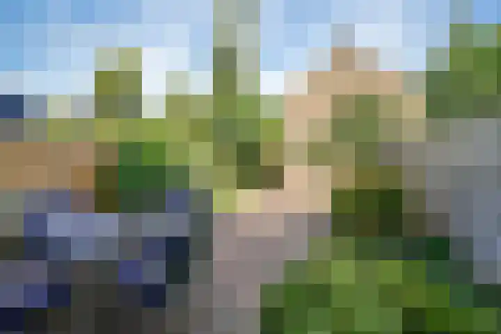 Geelkruid 33 Rotterdam thumbnail 6