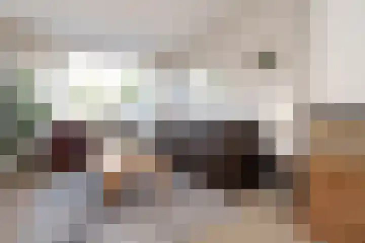 Geelkruid 33 Rotterdam thumbnail 7
