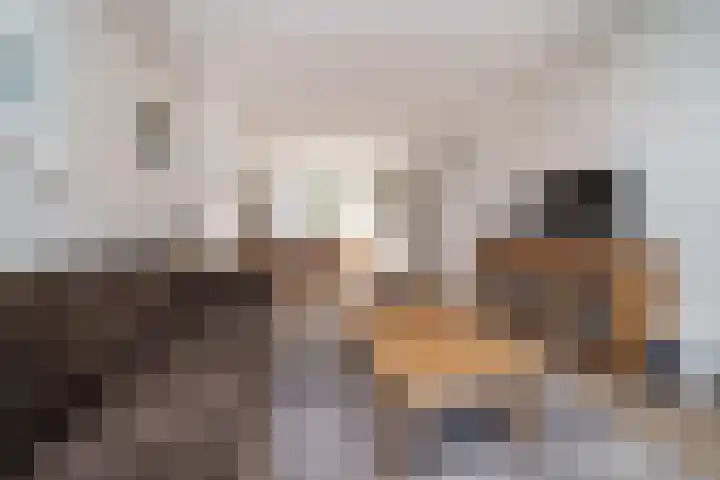 Geelkruid 33 Rotterdam thumbnail 8