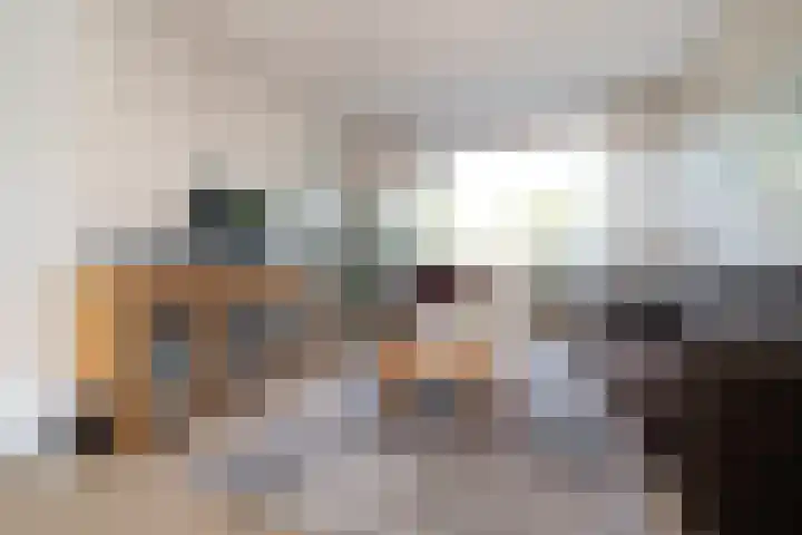 Geelkruid 33 Rotterdam thumbnail 9