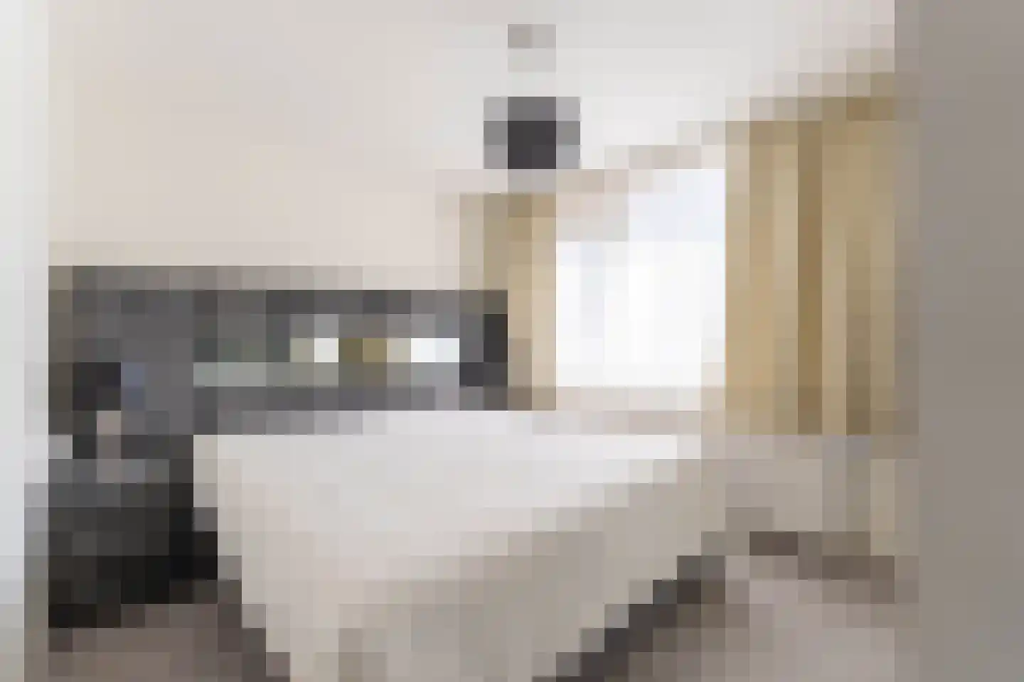 Geelkruid 53 Rotterdam thumbnail 15