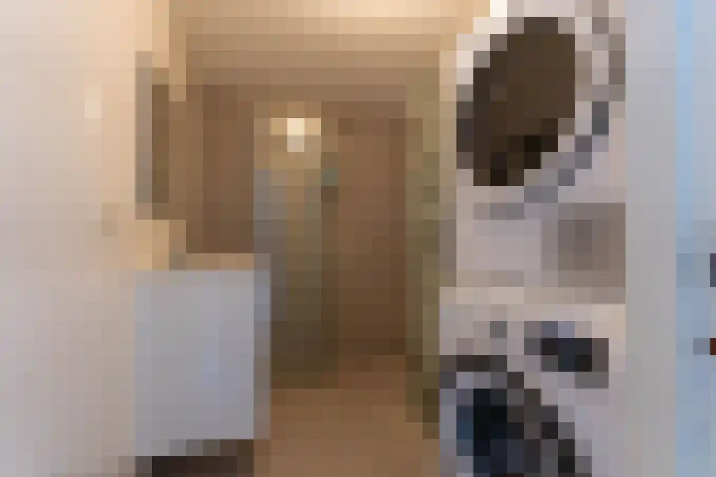 Geelkruid 53 Rotterdam thumbnail 19