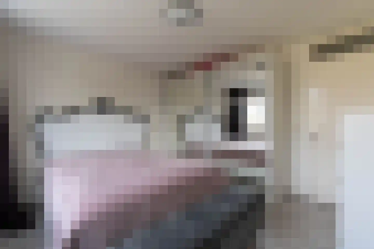 Geelkruid 53 Rotterdam thumbnail 22