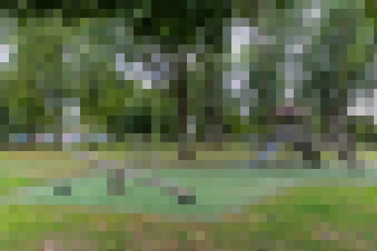 Geelkruid 53 Rotterdam thumbnail 31