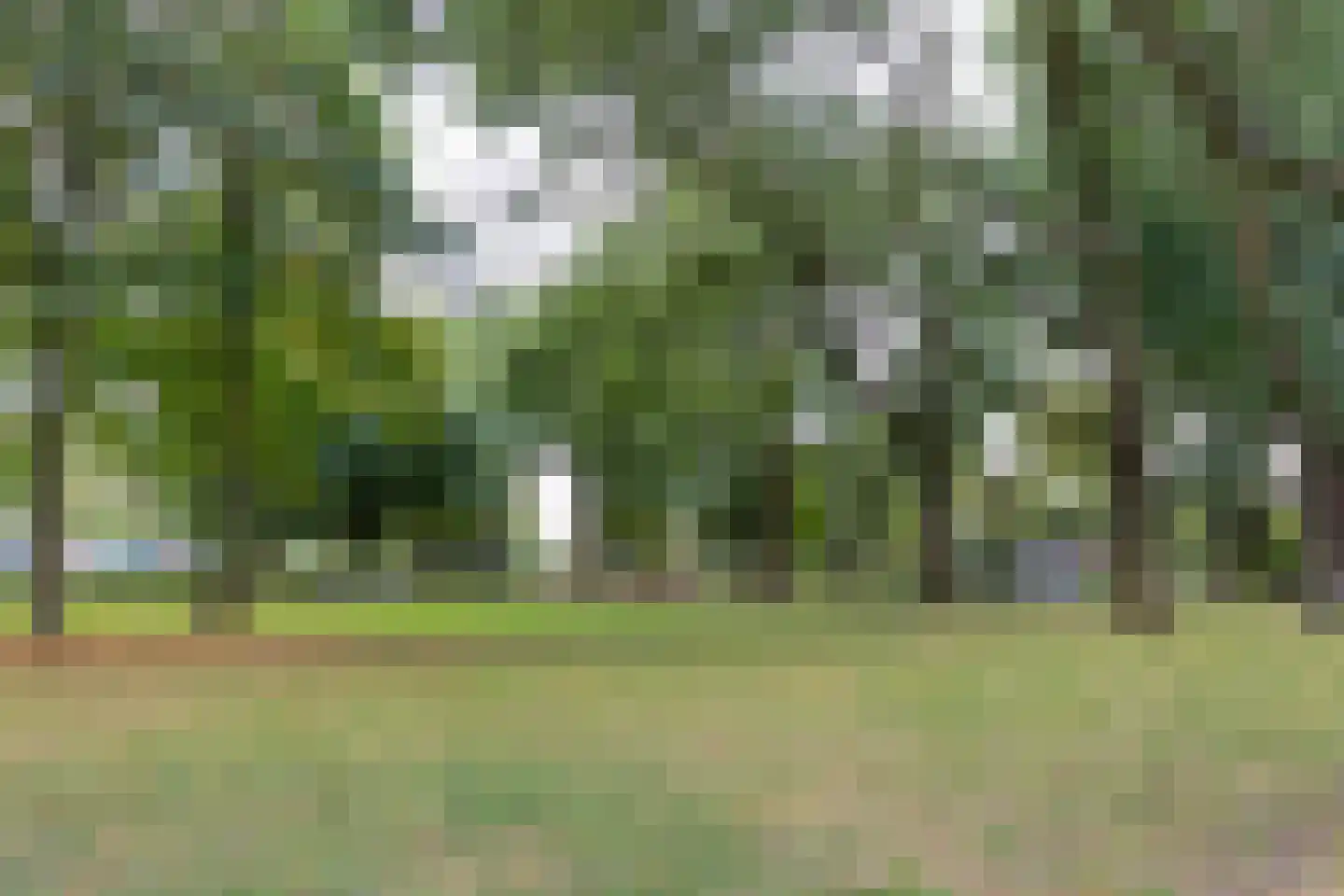 Geelkruid 53 Rotterdam thumbnail 32