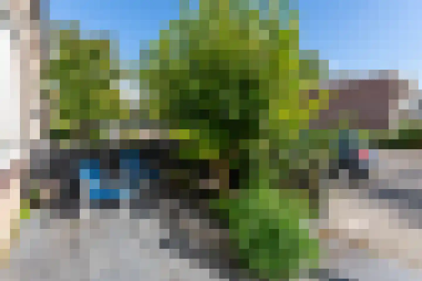 Geelkruid 53 Rotterdam thumbnail 4