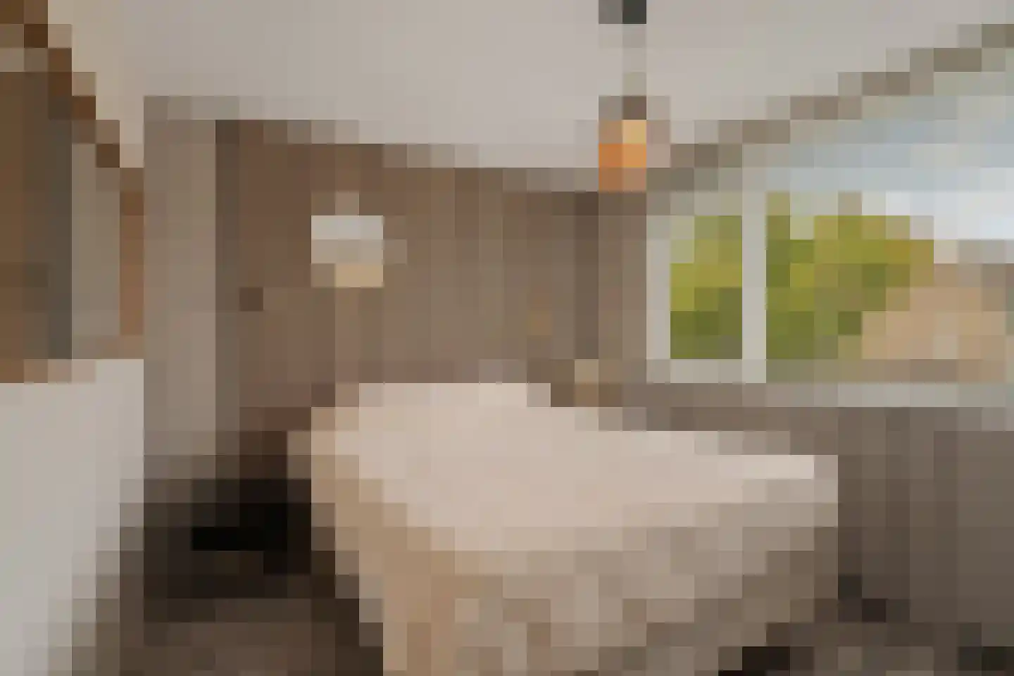 Geelkruid 73 Rotterdam thumbnail 14