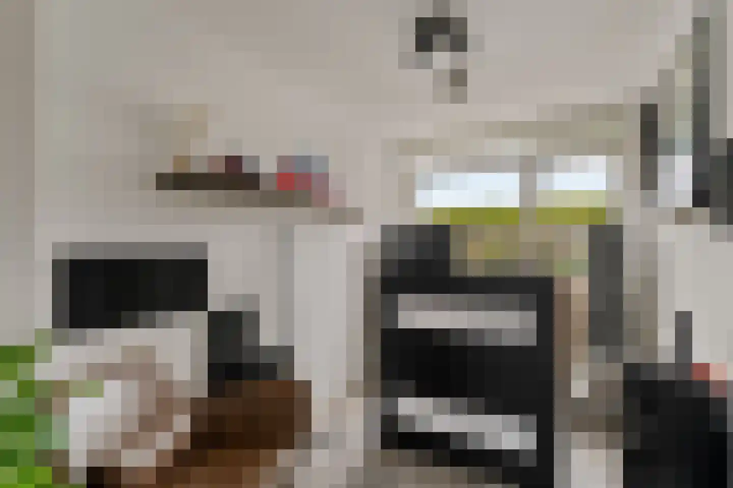 Geelkruid 73 Rotterdam thumbnail 18
