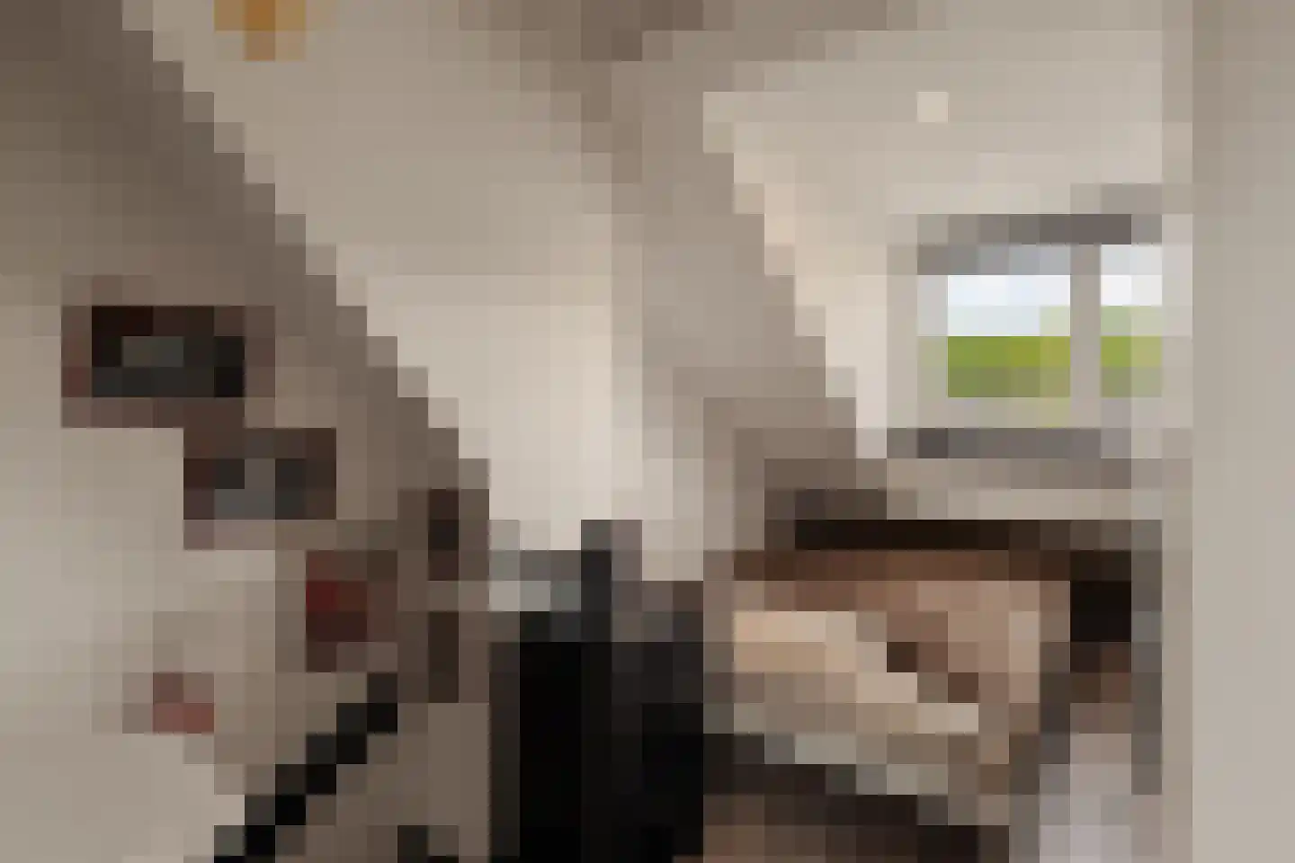 Geelkruid 73 Rotterdam thumbnail 24