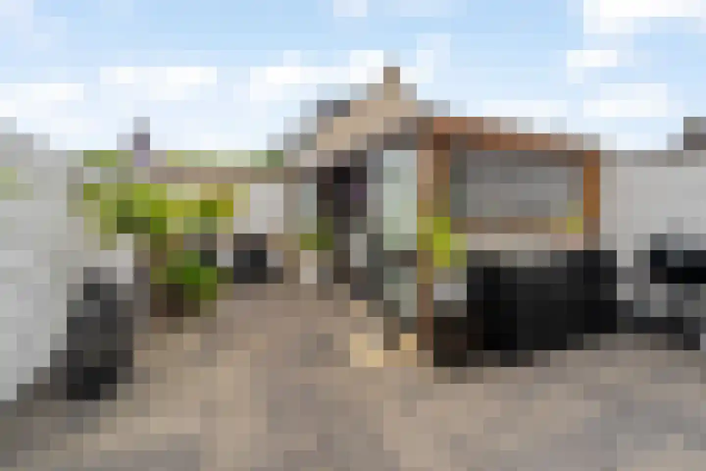 Geelkruid 73 Rotterdam thumbnail 25