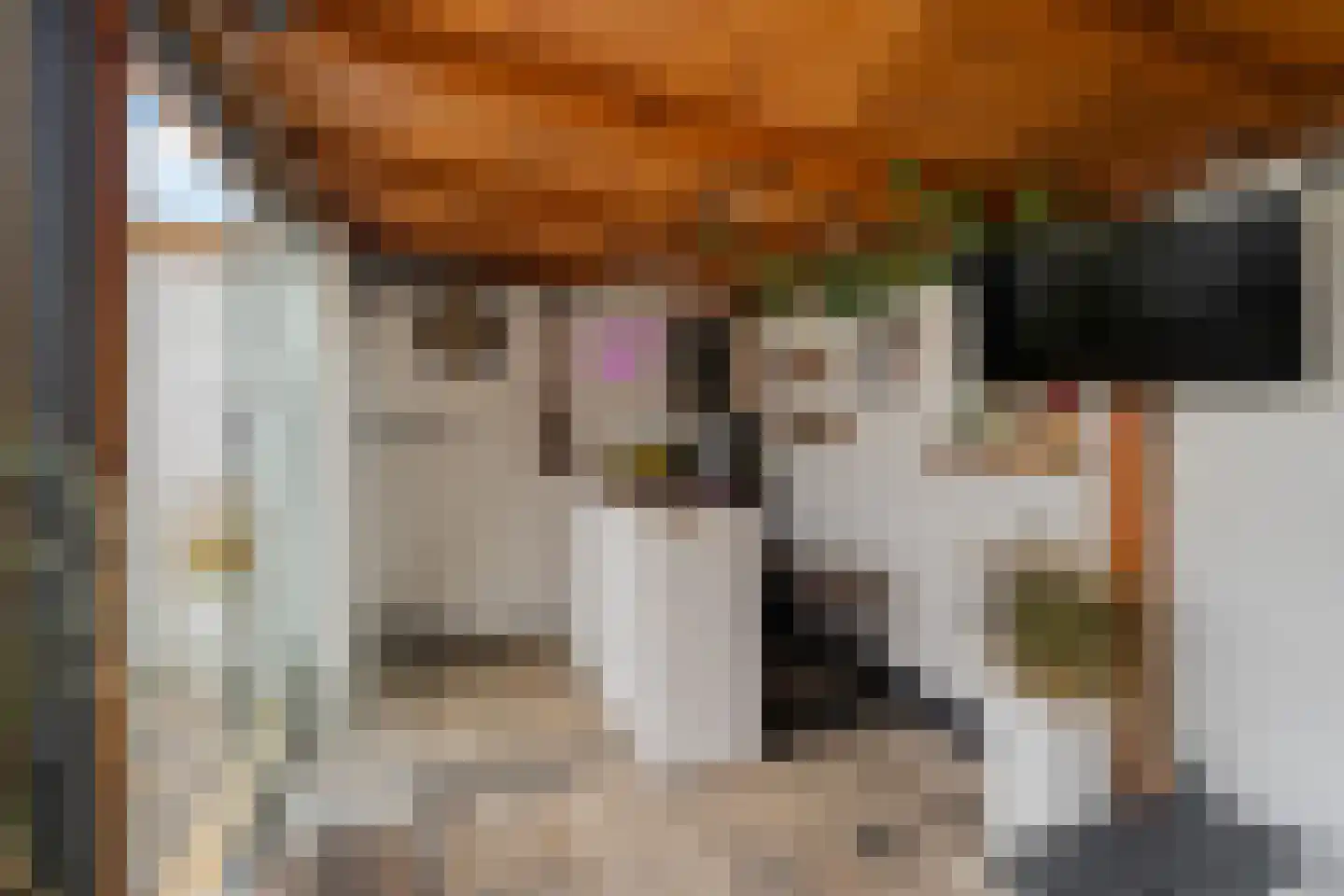 Geelkruid 73 Rotterdam thumbnail 26