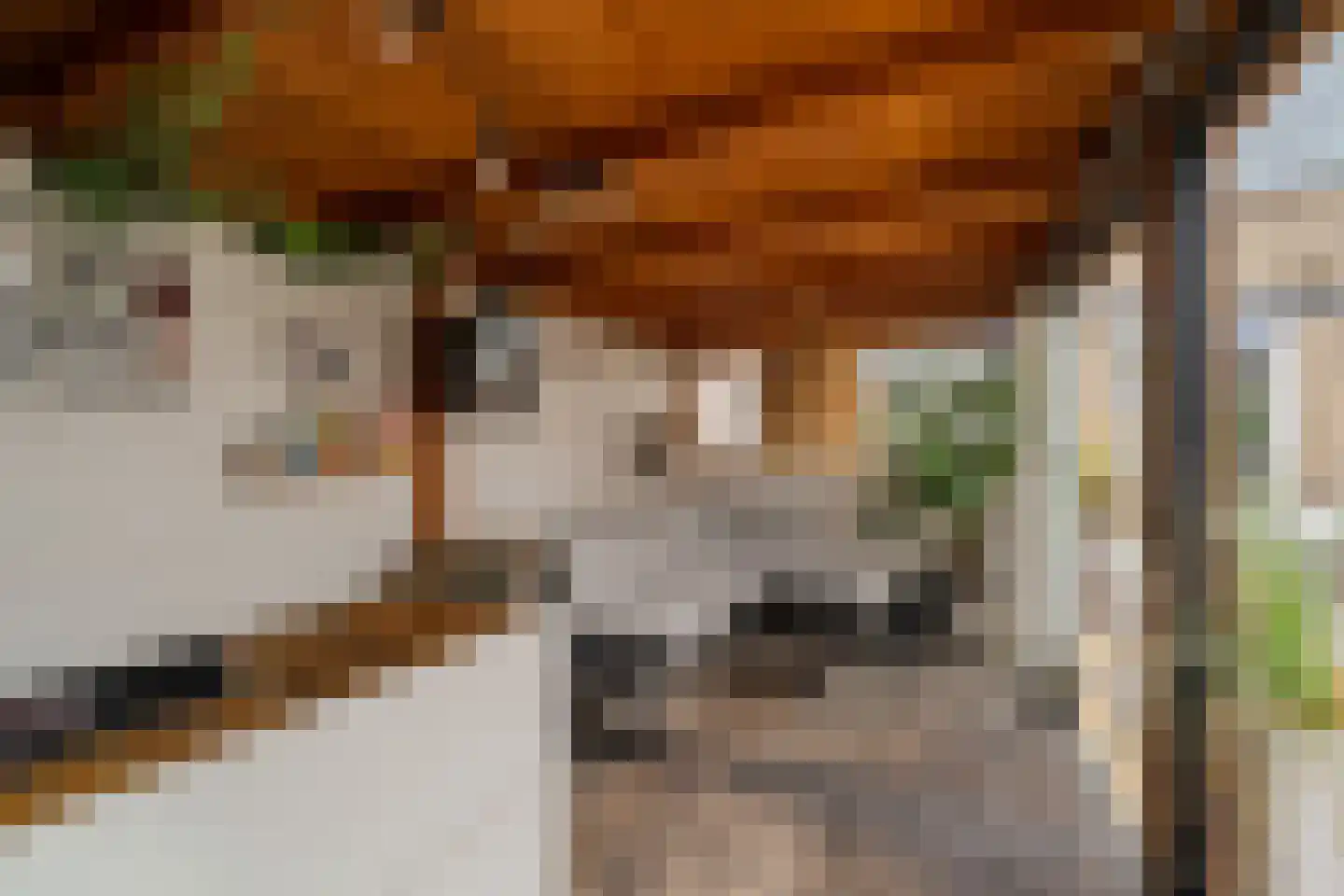 Geelkruid 73 Rotterdam thumbnail 27