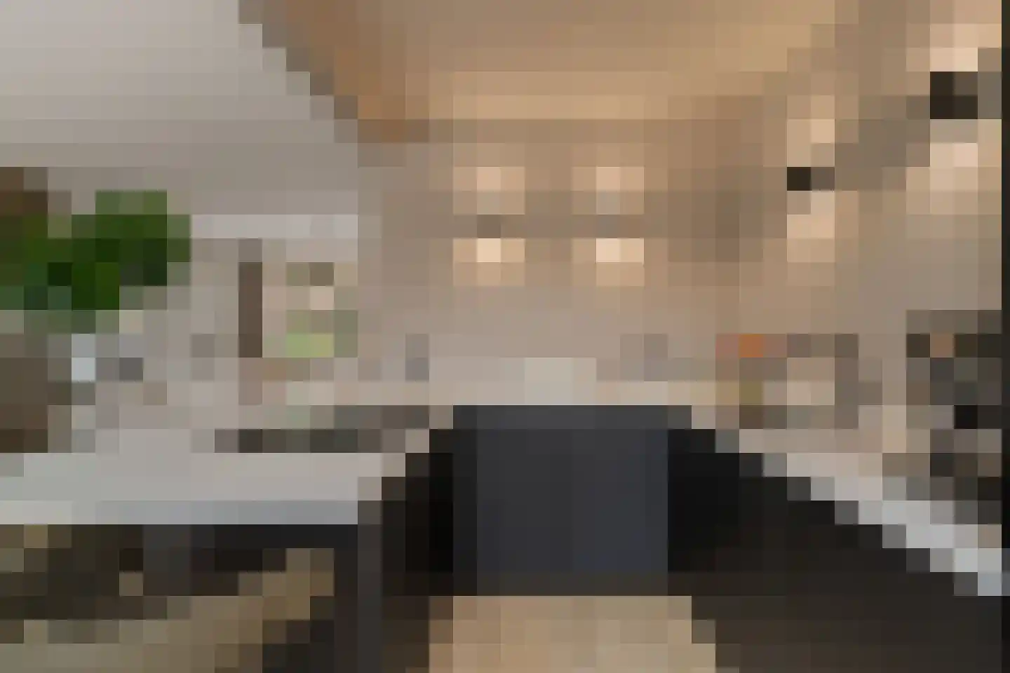 Geelkruid 73 Rotterdam thumbnail 4