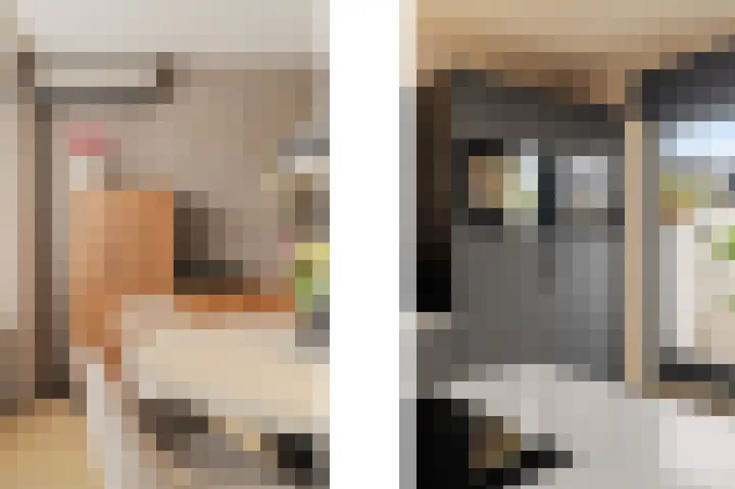 Geelkruid 73 Rotterdam thumbnail 6